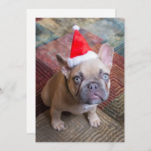 Niedliche Kleintiere | French Bulldog Christmas Dankeskarte (Vorne/Hinten)
