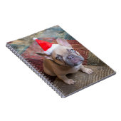 Niedliche Kleintiere | French Bulldog Christmas Notizblock (Rechte Seite)