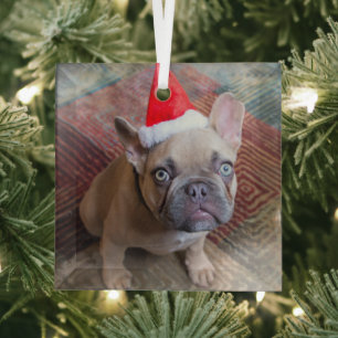 Niedliche Kleintiere   French Bulldog Christmas Ornament Aus Glas