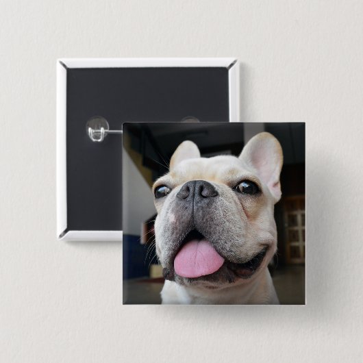 Niedliche Kleintiere | French Bulldog Face Button (Vorne & Hinten)