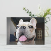Niedliche Kleintiere | French Bulldog Face Dankeskarte (Stehend Vorderseite)
