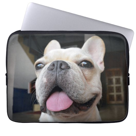 Niedliche Kleintiere | French Bulldog Face Laptopschutzhülle (Vorderseite)