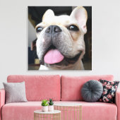 Niedliche Kleintiere | French Bulldog Face Leinwanddruck (Insitu (Wohnzimmer))
