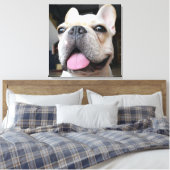 Niedliche Kleintiere | French Bulldog Face Leinwanddruck (Insitu (Schlafzimmer))