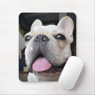 Niedliche Kleintiere French Bulldog Face Mousepad