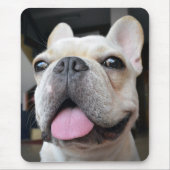 Niedliche Kleintiere | French Bulldog Face Mousepad (Vorne)