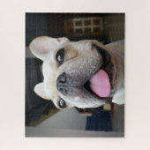 Niedliche Kleintiere | French Bulldog Face Puzzle (Vertikal)