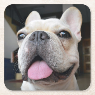 Niedliche Kleintiere   French Bulldog Face Rechteckiger Pappuntersetzer