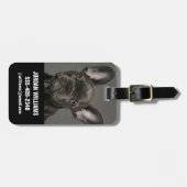 Niedliche Kleintiere | French Bulldog Gepäckanhänger (Vorderseite horizontal)