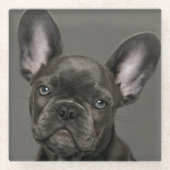 Niedliche Kleintiere | French Bulldog Glasuntersetzer (Vorderseite)