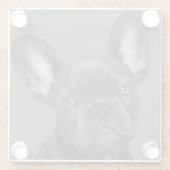 Niedliche Kleintiere | French Bulldog Glasuntersetzer (Rückseite)