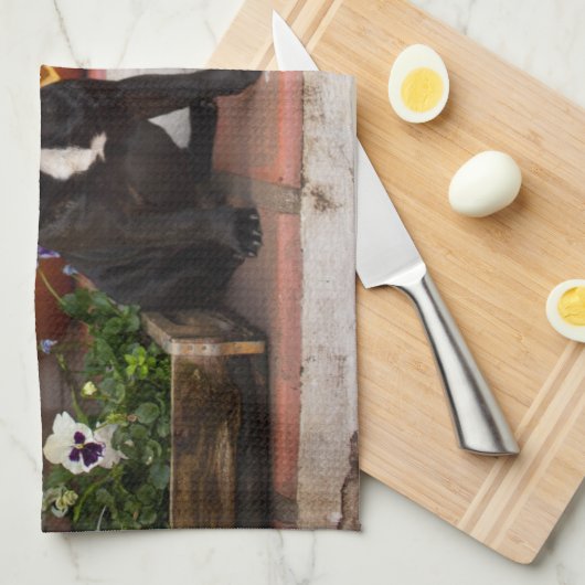 Niedliche Kleintiere | French Bulldog Halloween Geschirrtuch (Viertel Falte)