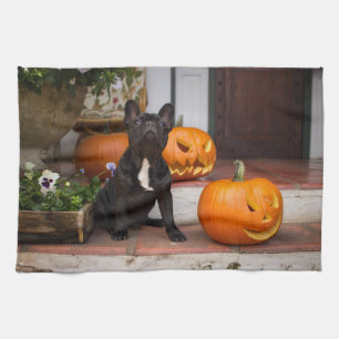 Niedliche Kleintiere   French Bulldog Halloween Geschirrtuch