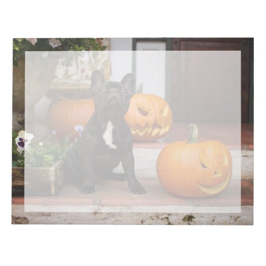 Niedliche Kleintiere | French Bulldog Halloween Notizblock (Vorderseite)