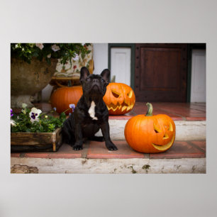 Niedliche Kleintiere French Bulldog Halloween Poster