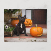 Niedliche Kleintiere | French Bulldog Halloween Postkarte (Vorderseite)