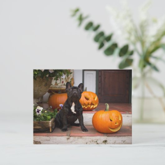 Niedliche Kleintiere | French Bulldog Halloween Postkarte (Stehend Vorderseite)