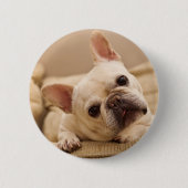 Niedliche Kleintiere | French Bulldog Head Tilt Button (Vorderseite)
