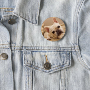Niedliche Kleintiere French Bulldog Head Tilt Button