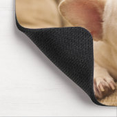 Niedliche Kleintiere | French Bulldog Head Tilt Mousepad (Ecke)
