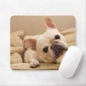 Niedliche Kleintiere | French Bulldog Head Tilt Mousepad (Mit Mouse)