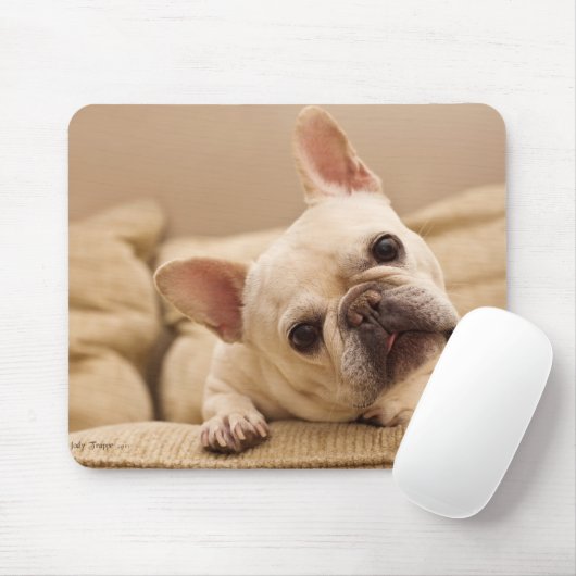 Niedliche Kleintiere | French Bulldog Head Tilt Mousepad (Mit Mouse)