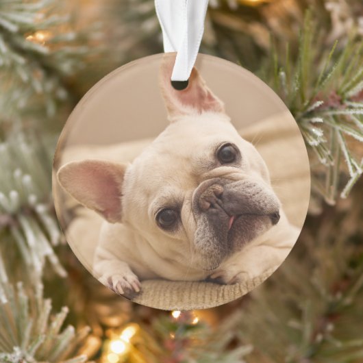 Niedliche Kleintiere | French Bulldog Head Tilt Ornament (Baum)