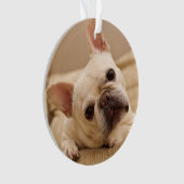 Niedliche Kleintiere | French Bulldog Head Tilt Ornament (Vorderseite)