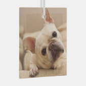Niedliche Kleintiere | French Bulldog Head Tilt Ornament Aus Glas (Vorderseite Rechts)