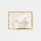 Niedliche Kleintiere | French Bulldog Head Tilt Post-it Klebezettel (Vorderseite)