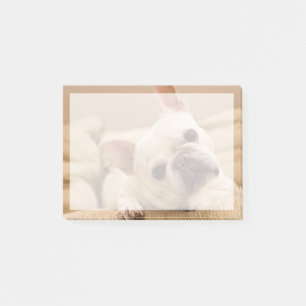Niedliche Kleintiere French Bulldog Head Tilt Post-it Klebezettel