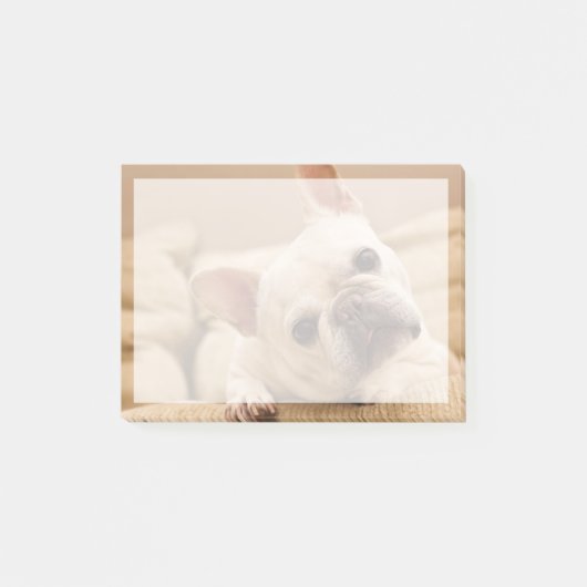 Niedliche Kleintiere | French Bulldog Head Tilt Post-it Klebezettel (Vorderseite)