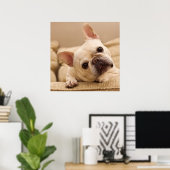Niedliche Kleintiere | French Bulldog Head Tilt Poster (Heimbüro)