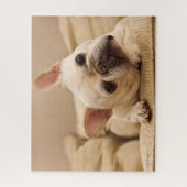 Niedliche Kleintiere | French Bulldog Head Tilt Puzzle (Vertikal)