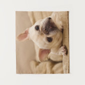 Niedliche Kleintiere | French Bulldog Head Tilt Wandteppich (Vorderseite)