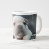 Niedliche Kleintiere | French Bulldog Jumbo-Tasse (Vorderseite Rechts)