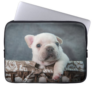 Niedliche Kleintiere   French Bulldog Laptopschutzhülle