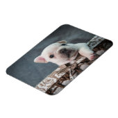 Niedliche Kleintiere | French Bulldog Magnet (Linke Seite)