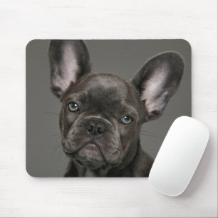 Niedliche Kleintiere   French Bulldog Mousepad