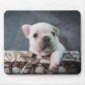 Niedliche Kleintiere | French Bulldog Mousepad (Vorne)