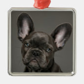 Niedliche Kleintiere | French Bulldog Ornament Aus Metall (Vorne)