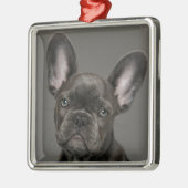 Niedliche Kleintiere | French Bulldog Ornament Aus Metall (Links)