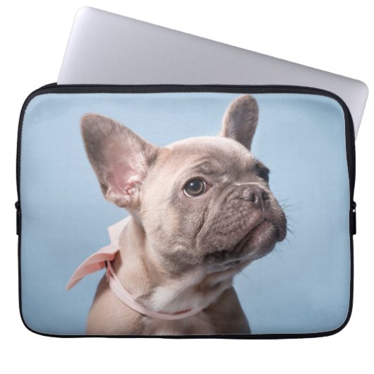 Niedliche Kleintiere | French Bulldog Pink Bow Laptopschutzhülle (Vorderseite)