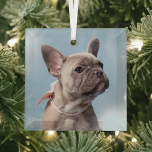 Niedliche Kleintiere French Bulldog Pink Bow Ornament Aus Glas
