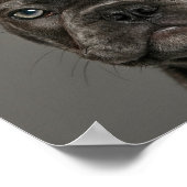 Niedliche Kleintiere | French Bulldog Poster (Ecke)
