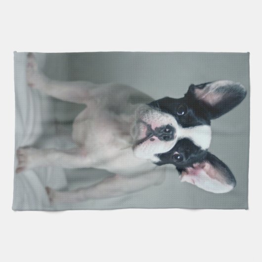 Niedliche Kleintiere | French Bulldog Puppy Geschirrtuch (Horizontal)