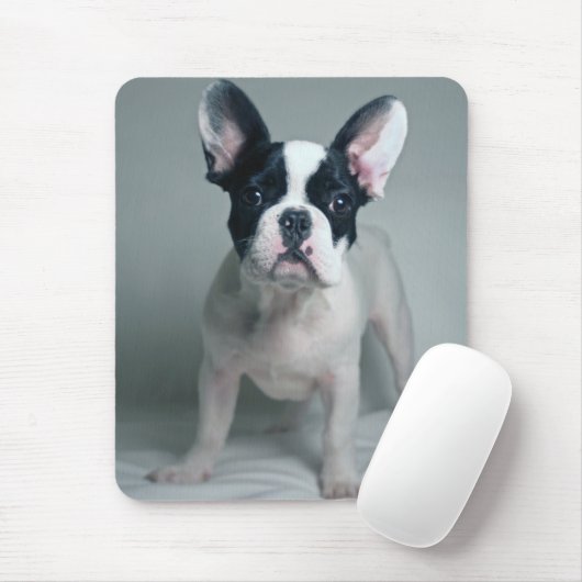 Niedliche Kleintiere | French Bulldog Puppy Mousepad (Mit Mouse)