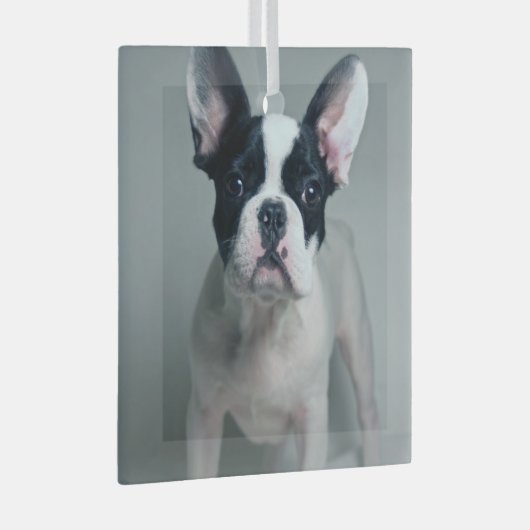 Niedliche Kleintiere | French Bulldog Puppy Ornament Aus Glas (Vorderseite Rechts)