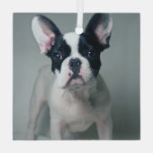Niedliche Kleintiere | French Bulldog Puppy Ornament Aus Glas (Rückseite)