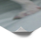 Niedliche Kleintiere | French Bulldog Puppy Poster (Ecke)